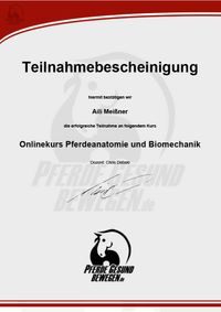 Aili-Meissner-Kursabschluss-Test-Anatomie-und-Biomechanik-Onlinekurs-Pferdeanatomie-Pferde-gesund-bewegen 1024_1